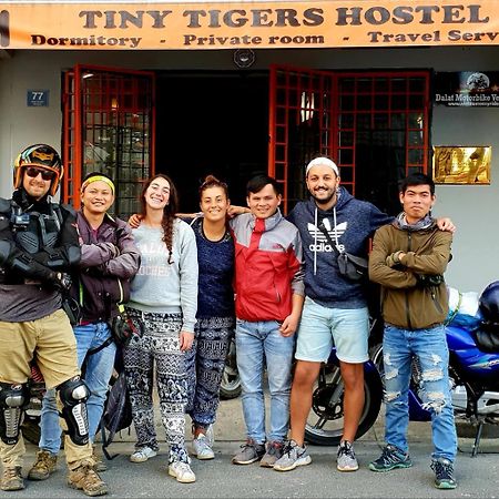 نزل دالاتفي Tiny Tigers المظهر الخارجي الصورة