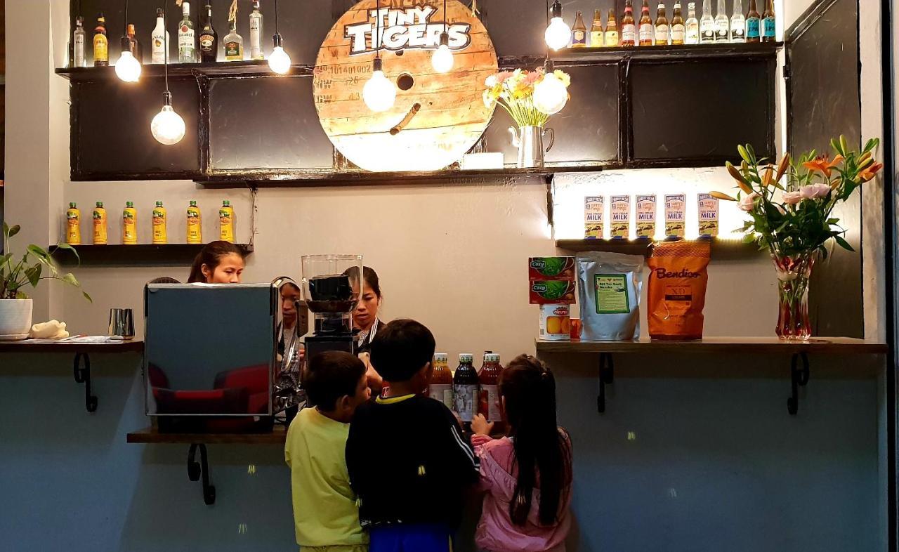 نزل دالاتفي Tiny Tigers المظهر الخارجي الصورة